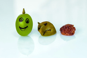 Rosine oder Weintraube – wie prall bist du heute?